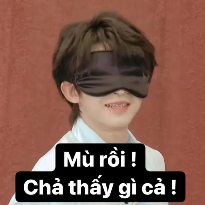 Tổng hợp meme mù hài hước, bá đạo