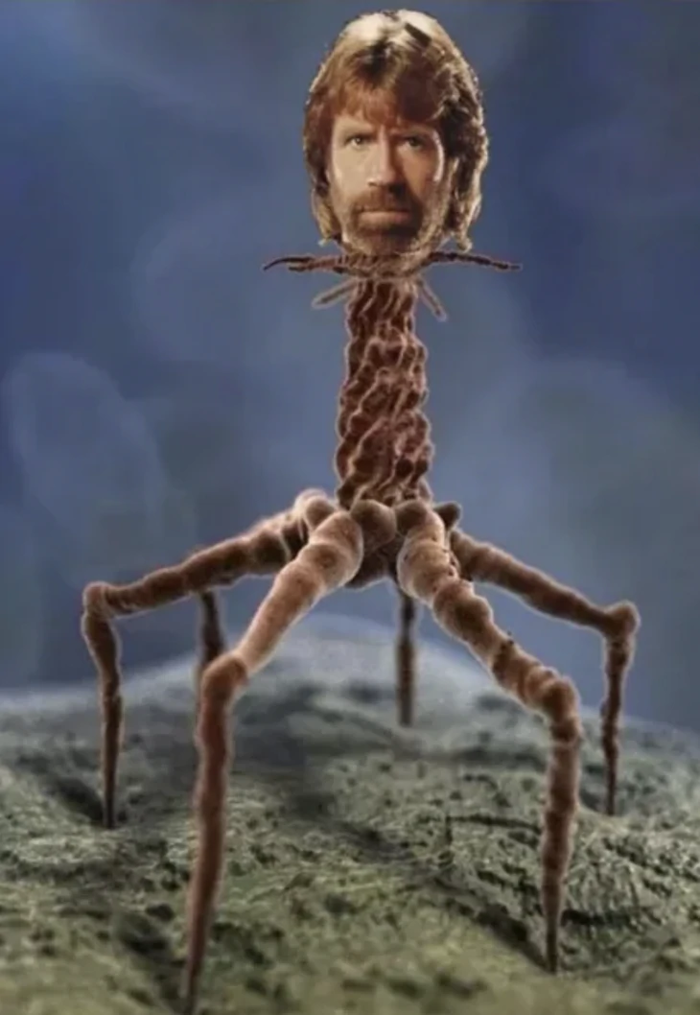 Tạm biệt Chuck Norris - chủ nhân loạt meme nổi tiếng cõi mạng - Tuổi Trẻ  Online