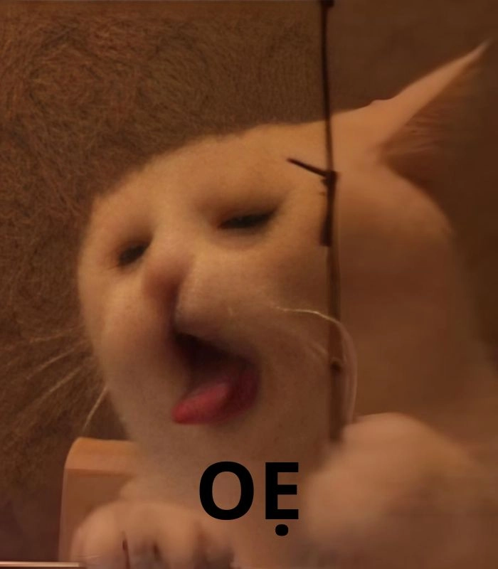 291+ meme mèo oẹ hài muốn xỉu, nhìn thôi là mắc cười!