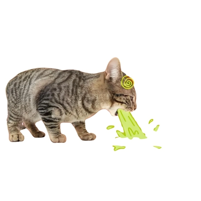 291+ meme mèo oẹ hài muốn xỉu, nhìn thôi là mắc cười!