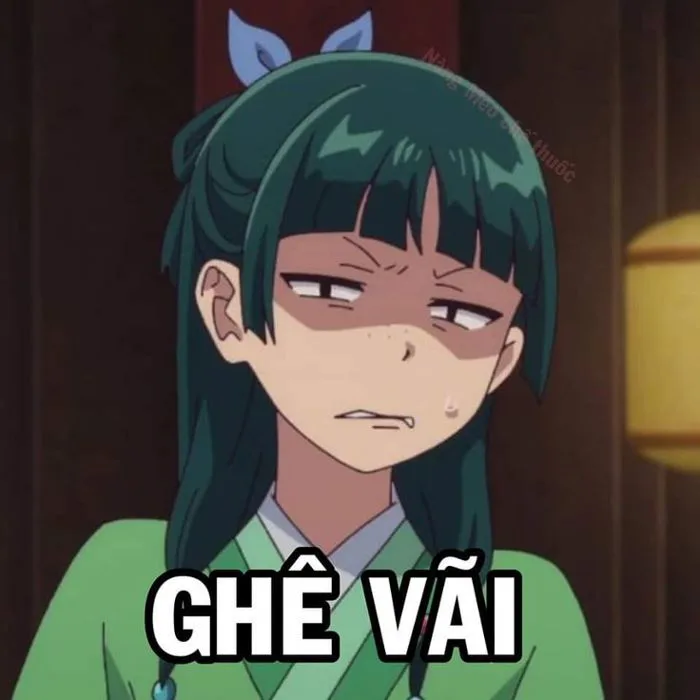 Anime hài hước | Meme tức ói máu, Anime biểu cảm, Genshin impact hài