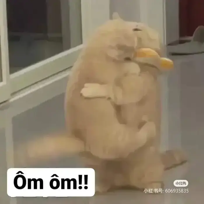meme-om-nhau-1