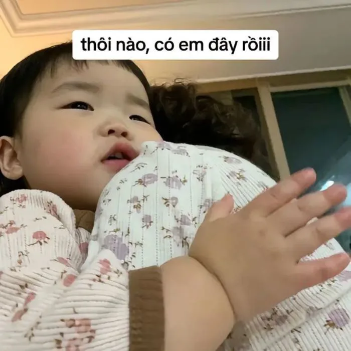 Top ảnh meme an ủi siêu dễ thương giúp bạn vực dậy tinh thần