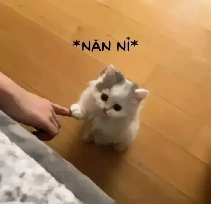 100+ Meme Ôm tình cảm đầy yêu thương giúp bạn kết nối cảm xúc với mọi người