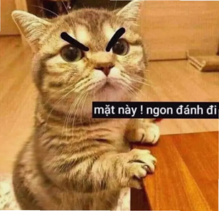 Meme đánh đòn: Bộ sưu tập hình ảnh hài hước độc đáo