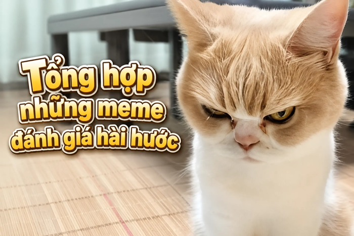 Meme đánh giá là gì? Tổng hợp những meme đánh giá hài hước
