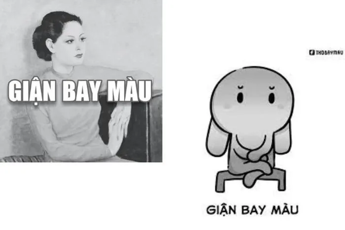 Tổng hợp meme bay màu, meme hài hước cực thú vị, lưu ngay!