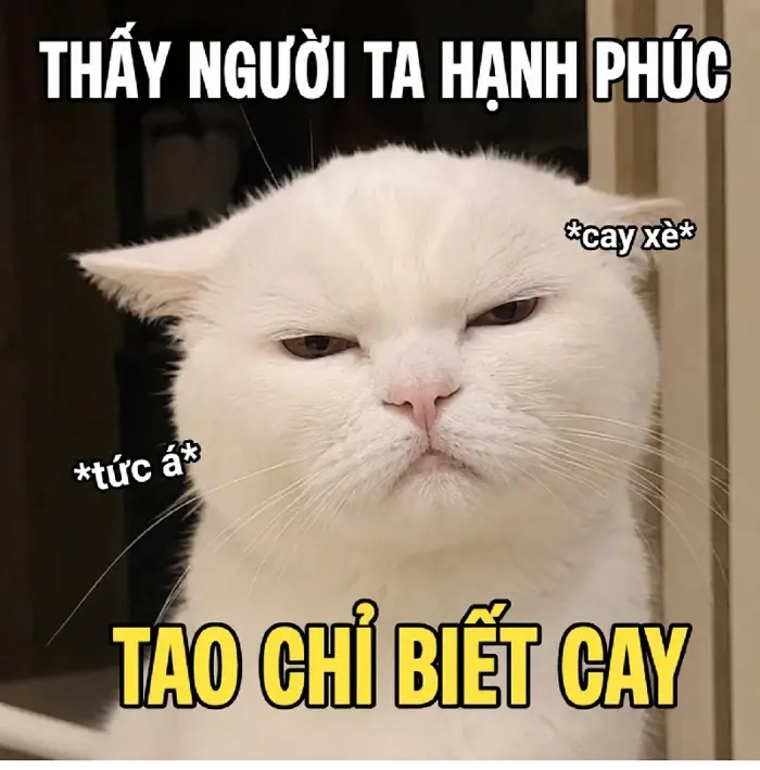 84+ Meme Cay cay cú Độ Mixi cực hài bá đạo