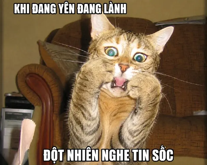 100+ Meme Bất Ngờ - Ảnh chế ngạc nhiên siêu hài bựa nhất
