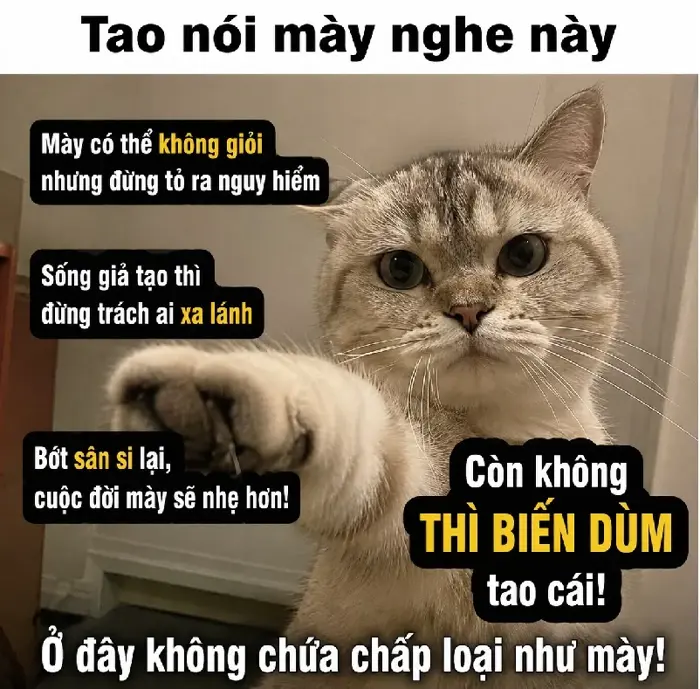 199+ Meme Chửi siêu thâm ảnh chế chửi nhau cười ra nước mắt