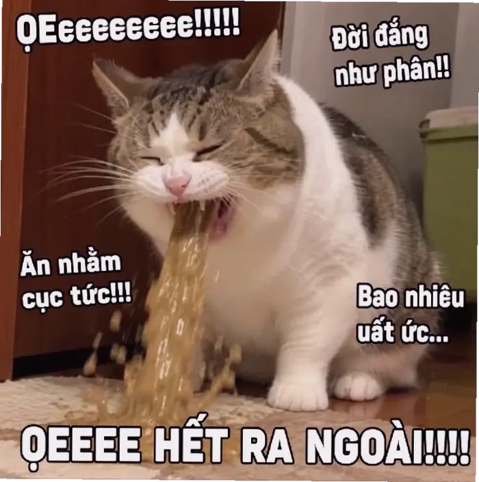 Tuyển tập meme về những tình huống éo le hài hước nhất