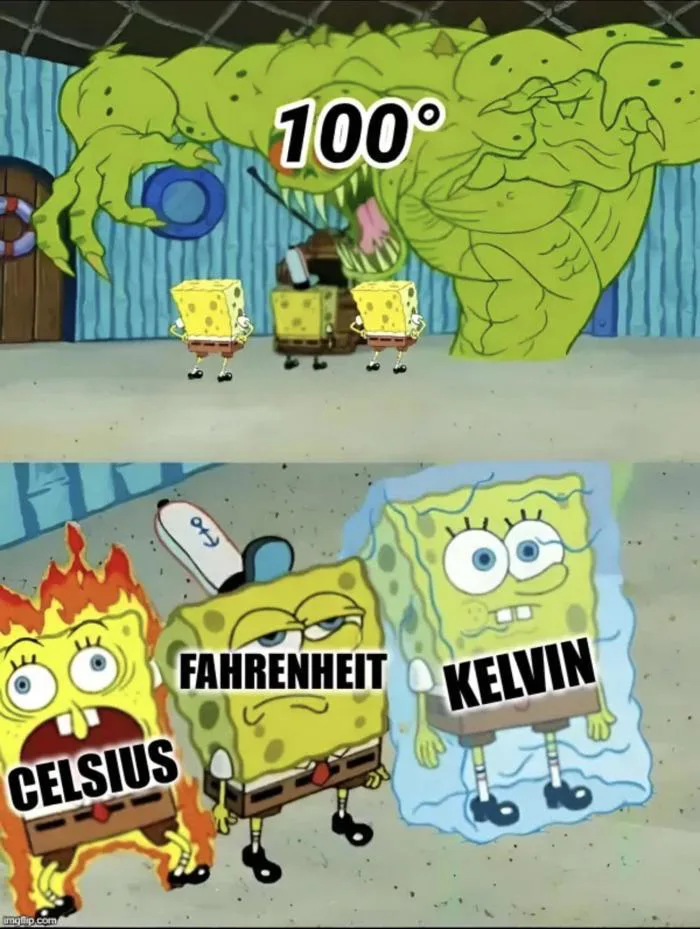 Cái meme 