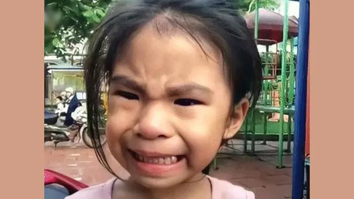 Ảnh Meme là gì? Giải mã nguồn gốc và tổng hợp 100+ meme phổ biến nhất