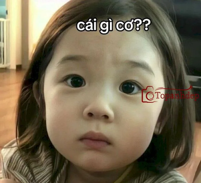 Meme em bé cute hài hước, đáng yêu ai cũng muốn sở hữu – topanhdep.com