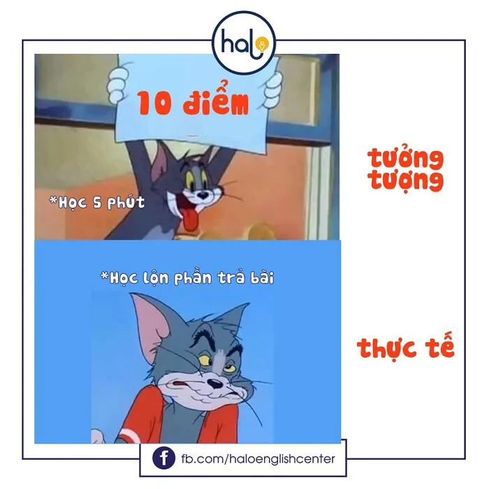 99,99% Người Mới Bắt Đầu Học Tiếng Anh Hay Mắc Phải - Halo English Center