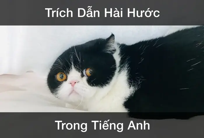 Trích Dẫn Hài Hước Trong Tiếng Anh (2026 mới) - EnglishCentral Blog