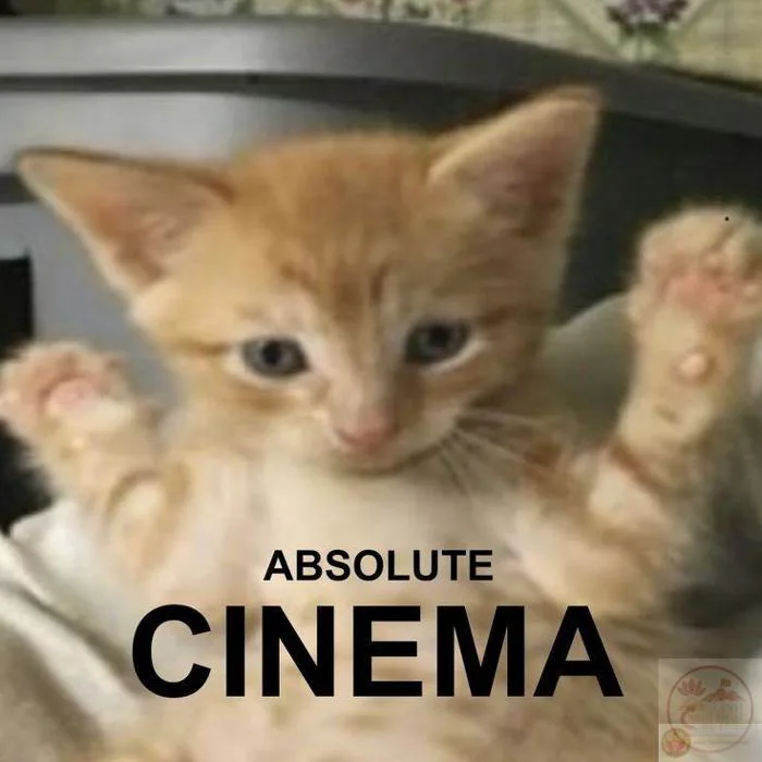 Tuyệt đối điện ảnh meme: 125+ ảnh absolute cinema hot nhất
