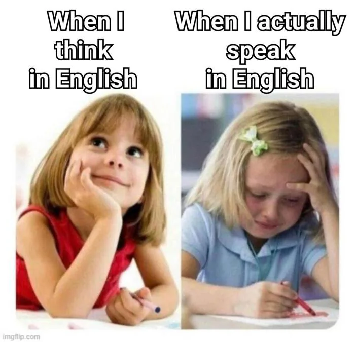 Tui đang cố gắng học tiếng Anh : r/meme