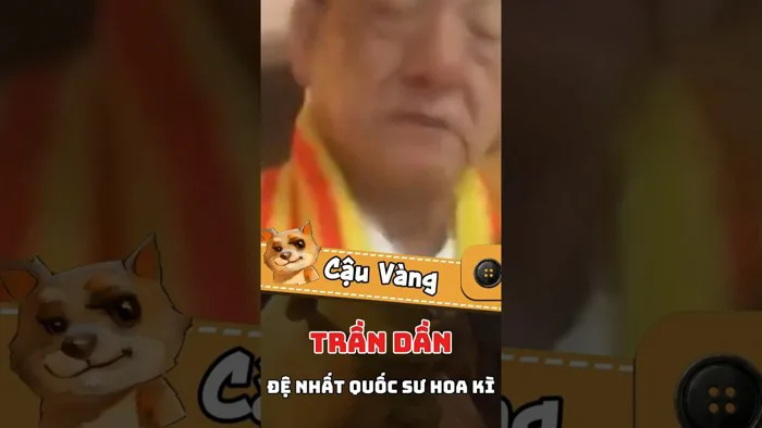 Nguồn gốc meme : Trần Dần đã qua đời #memes - YouTube