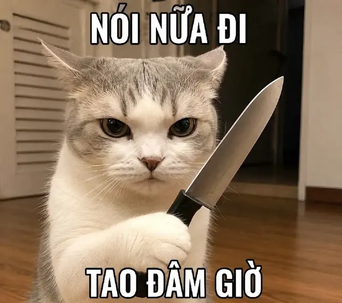 233+ Meme Cầm Dao hài hước đe dọa cực bựa