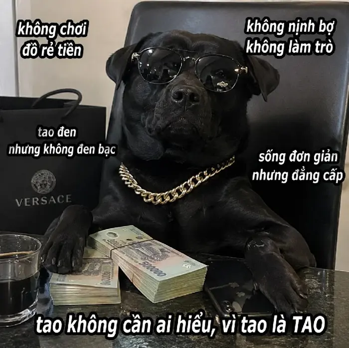148+ Meme Chó Đen ngầu lòi bựa thôi rồi cười rụng răng