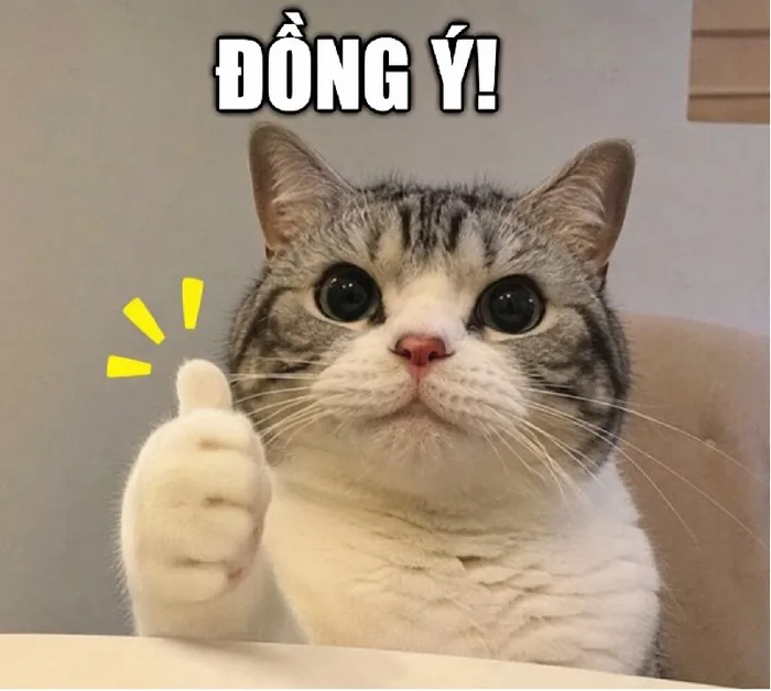 148+ Meme Đồng Ý Em Đồng Ý Gật Đầu ảnh chế siêu hài