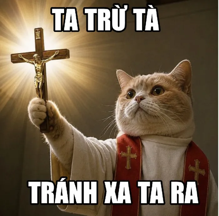 meme-tru-ta-1