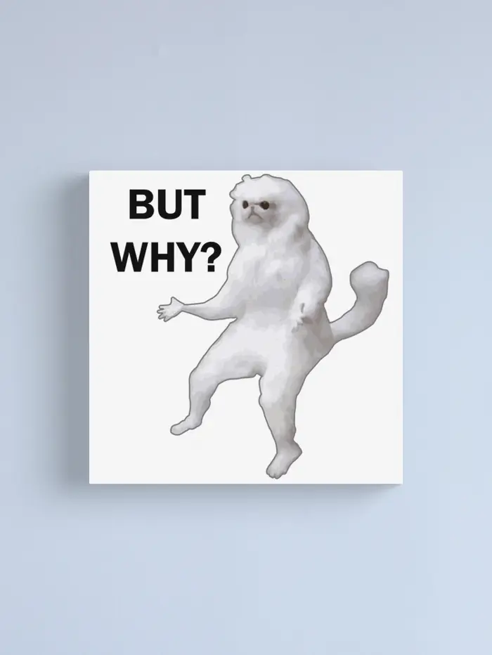 White cat meme 