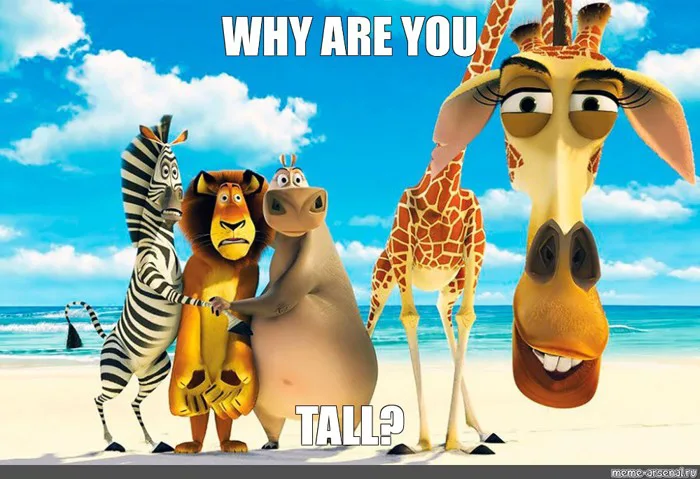 Meme: 