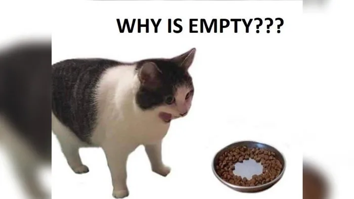 Why Is It Empty? | Know Your Meme