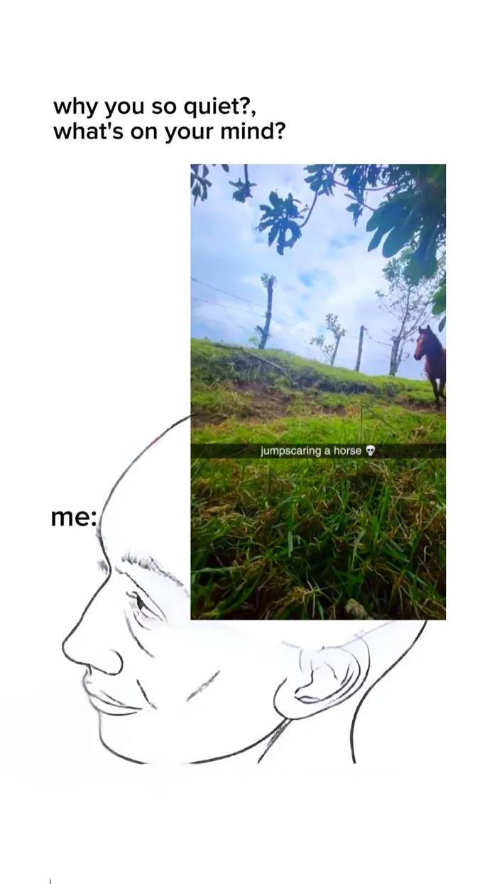 Not the horse huhu