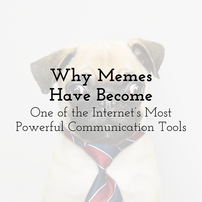 Why Memes Have Become One of the Internet's Most Powerful Communication  Tools