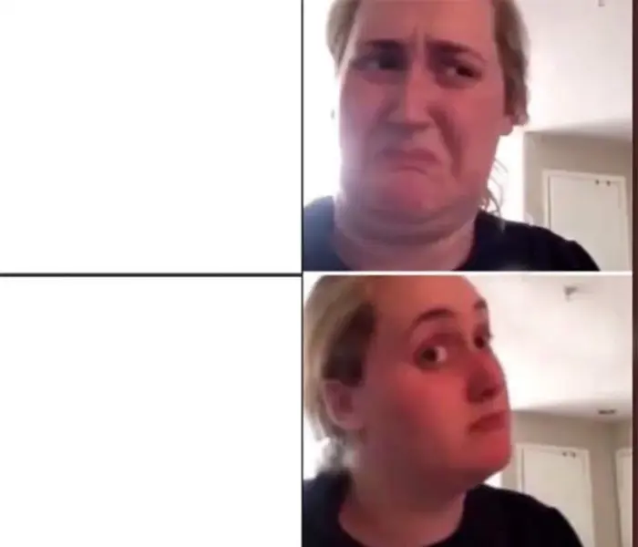 Kombucha Girl Meme Template — Kapwing